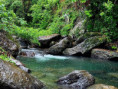 /album/vy-a-my-jamajka-port-antonio/port-antonio-jamajka-vylety-93-jpg/